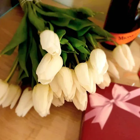 Sandra I Privatunterkunft