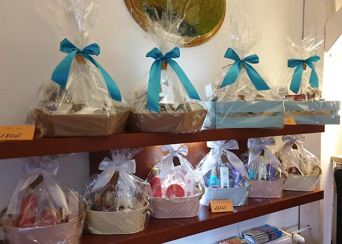 民宿 Sandra I 莱鲍